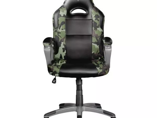 Trust Gaming Chair GXT 705C Ryon, Class 4 gas lift, Armrest with comfortable cushions, Strong wooden frame,Tilting seat with locking possibility, up t