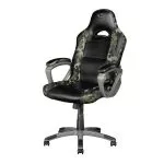 Trust Gaming Chair GXT 705C Ryon, Class 4 gas lift, Armrest with comfortable cushions, Strong wooden frame,Tilting seat with locking possibility, up t