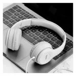 Hoco W21 Graceful charm wire control headphones, Black