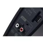 Edifier C2XB Black, 2.1/ 64W (40W+2x12W) RMS, remote control, Audio in: Bluetooth 4.0, USB, SD card, RCA, 3.5mm jack, sub. wooden, (sub.6,5" + satl. (