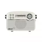 Speakers SVEN Tuner "SRP-500" White 3W, Bluetooth, FM/AM/SW, USB, microSD, AUX, battery фото