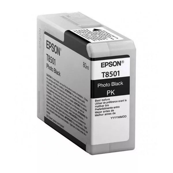 Ink Cartridge Epson T850100 PhotoBlack фото