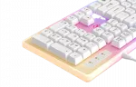 Gaming Keyboard Havit KB876L, Mechanical, Fn keys, 26-Anti-Ghosting, RGB, 104 Keys, 8M, 1.5m, USB, EN, White фото