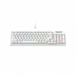 Gaming Keyboard Havit KB885L, Mechanical, Red SW, Hot-Swappable, RGB, 95 Keys, 50M, 1.8m, USB, EN/RU, White фото