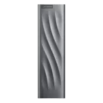 216037 512GB Lenovo Portable SSD PS8 Grey, USB-C 3.2 (106x31x10 mm, 40g, R/W:1050/1000 MB/s)